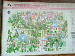-东平国家森林公园