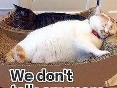 -海底捞火锅(亲子主题北金鹰店)