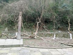 -宁波五龙潭景区