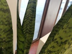 -万科美好广场