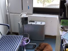 -康成宠物医院24H·CT·核磁共振