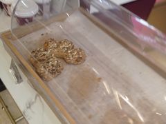 -哈根达斯(龙湖时代天街店)