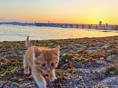 -银沙滩浴场
