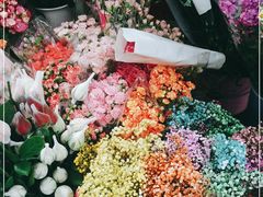 -桂林市花鸟市场