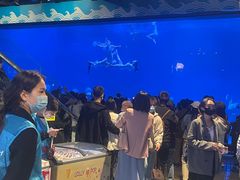 -烟台海昌鲸鲨海洋公园