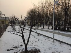 -北京群众马术培训基地