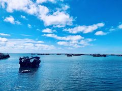 -硇洲岛旅游区