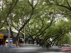 -VOYAGE COFFEE(北锣鼓巷店)