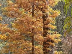 -南京市无想山景区