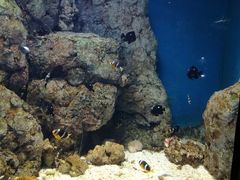 -福州罗源湾海洋世界旅游区