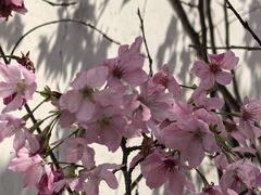 -乌山风景区