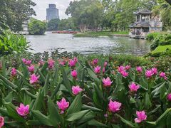 -荔湾湖公园