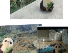 -北京动物园