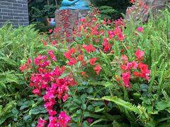 -深圳国际园林花卉博览园