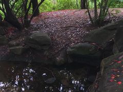 -燕晗山郊野公园