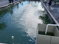 -DGE季风钓虾营地·团建·聚会