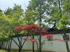 -苏州上方山国家森林公园