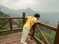 -大岭沟猕猴桃谷风景区