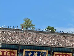 -九华山风景区
