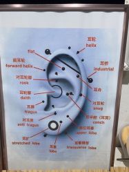 -AI艾耳·专业手工耳洞·穿孔美学馆