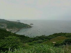 -枸杞岛