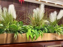 -红菜坊·烤鸭·川鲁宴(石园店)