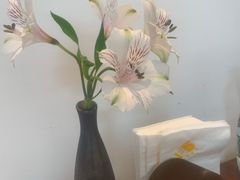 -花园5號餐厅