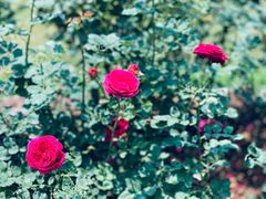 -人民公园(罗湖区)