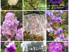 -狐尾山公园