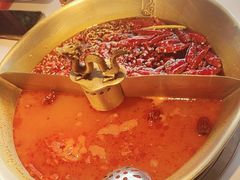 -小龙翻大江文化火锅(宽窄店)
