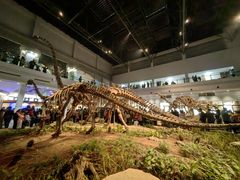 -自贡恐龙博物馆