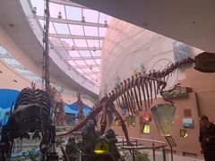 -陕西自然博物馆