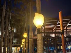 -三亚亚龙湾红树林度假酒店