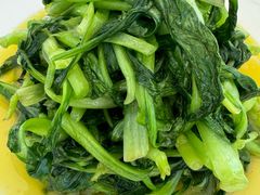 清炒鸡毛菜-火福·天湖阁大闸蟹博物馆主题餐厅(浅水湾店)
