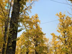 -百林公园-两江幸福广场