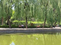 -团结湖公园