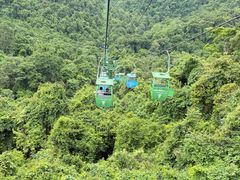 -野象谷景区