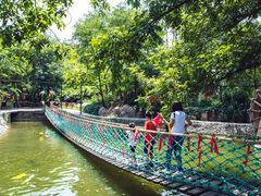 -雪山彩虹谷景区