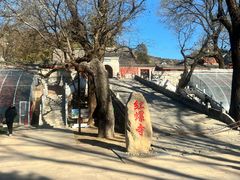 -红螺寺