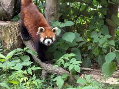 -杭州少年儿童公园