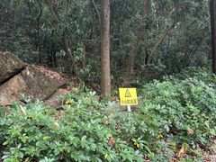 -火炉山森林公园