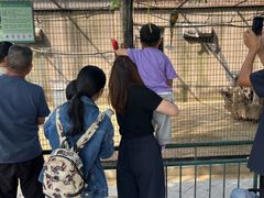 -石家庄市动物园