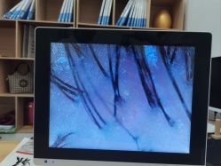 -岳灵生发养发馆