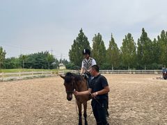 -北京群众马术培训基地