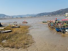 -北岐滩涂