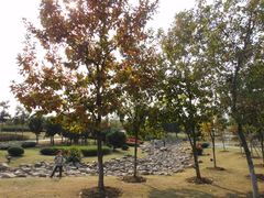 -白塘生态植物园