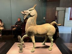 -广西壮族自治区博物馆