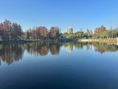 -四海公园(南山区)