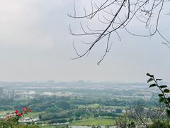 -广州莲花山旅游区