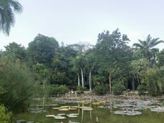 -中国科学院西双版纳热带植物园